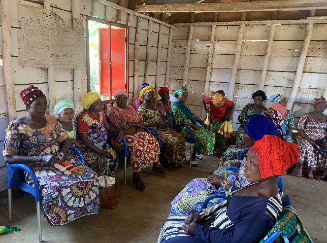 LA SENSIBILISATION L’ACCOMPAGNEMENT ET APPUI AUX FEMMES MEMBRES DE LA FOPAC SK REGROUPEES EN ASSOCIATIONS VILLAGEOISES D’EPARGNE ET DE CREDIT.